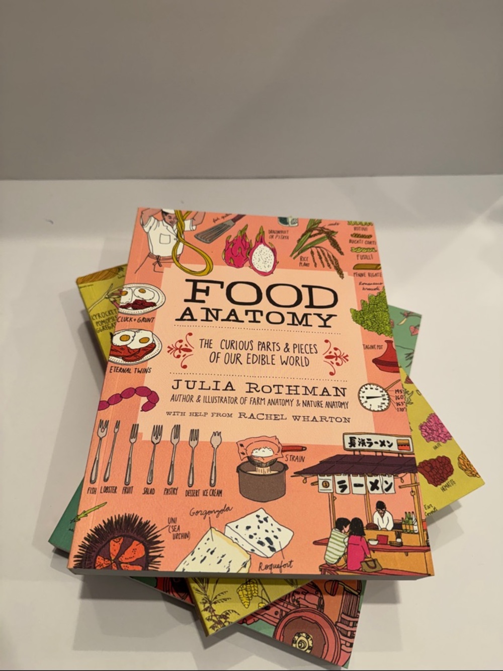 The Julia Rothman Collection - Picture 7 of 7